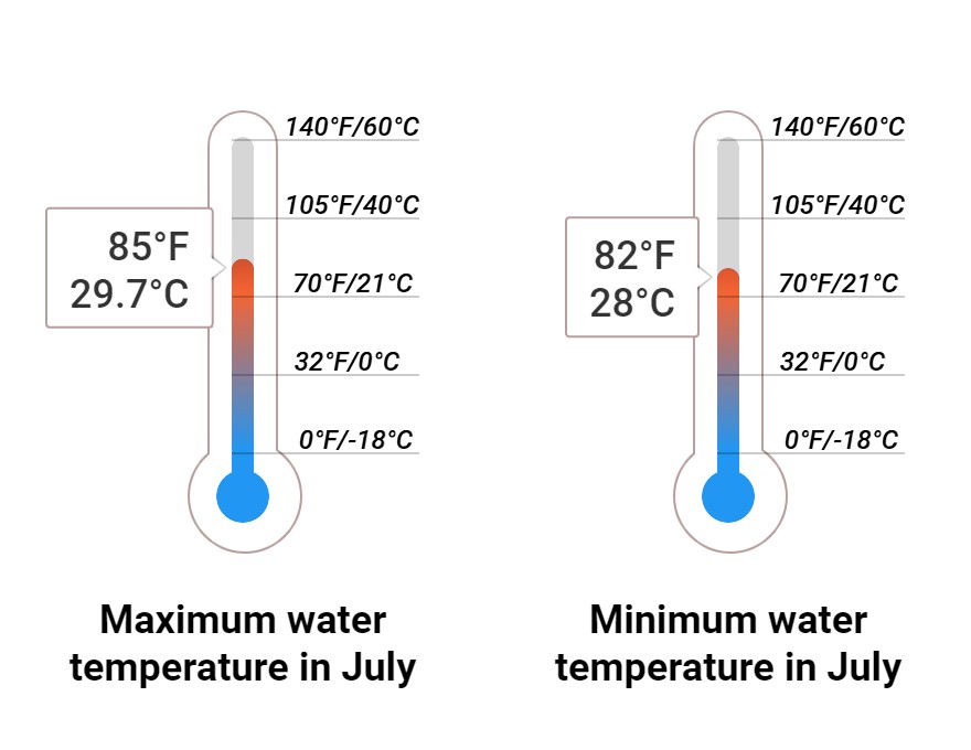 Average Sea temperature